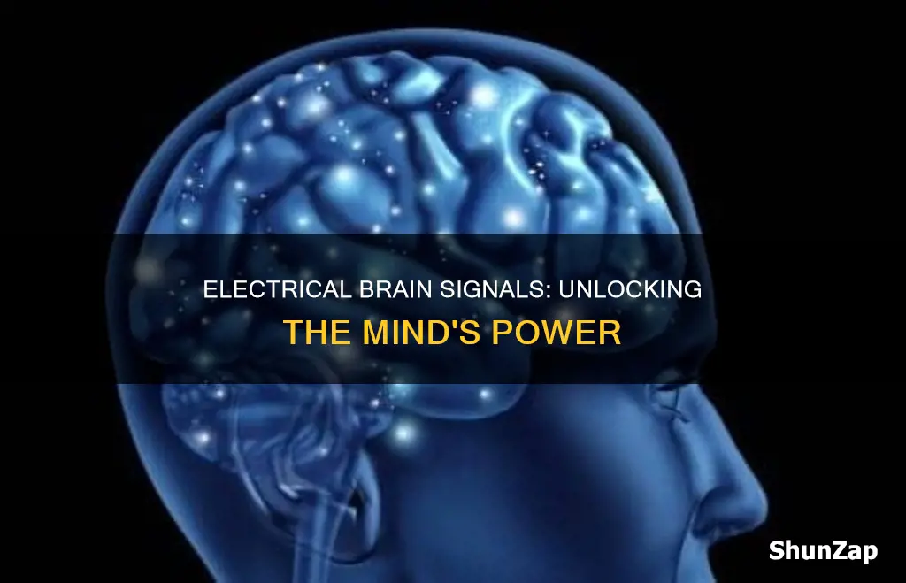 what is electrical signals in the brain