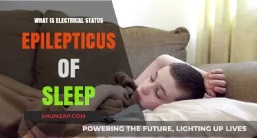 Electrical Status Epilepticus of Sleep: Understanding the Night Seizures