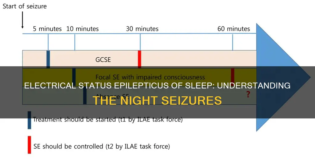 what is electrical status epilepticus of sleep