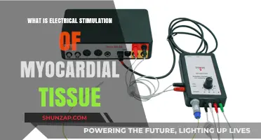 Electrical Stimulation of Myocardial Tissue: Benefits and Applications