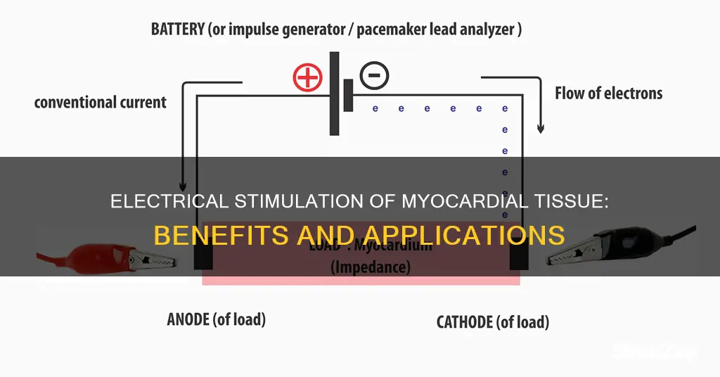 what is electrical stimulation of myocardial tissue