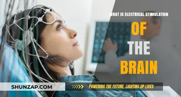 Electrical Brain Stimulation: How Does it Work?