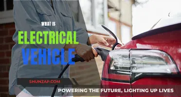Electrical Vehicles: Powering the Future of Transportation