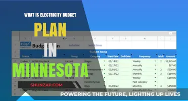 Electricity Budget Plans: Minnesota's Smart Option