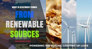 Renewable Electricity: Powering the World Sustainably