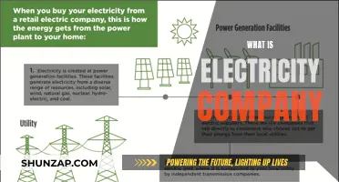 Understanding the Role of Electricity Companies