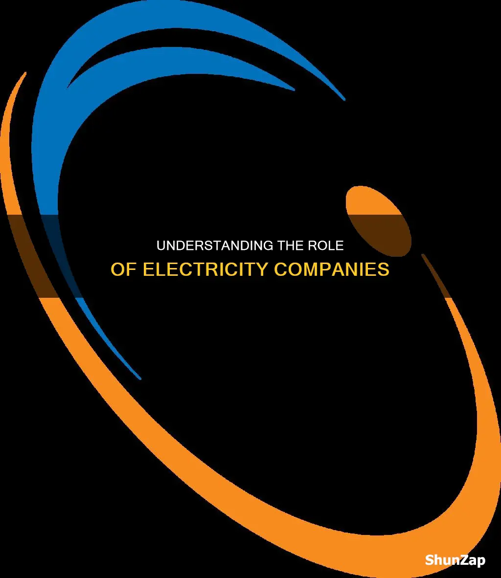 what is electricity company