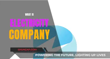 Electricity Company: Powering Our World, How?