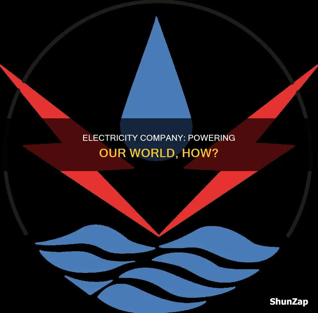 what is electricity company