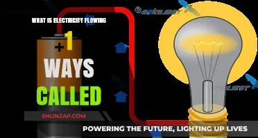 The Power of Unidirectional Electric Flow Explained