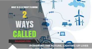 Electricity Flowing Both Ways: The Intricacies of Bidirectional Power