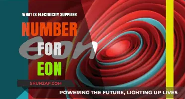 Electricity Supplier Number: E.ON's Guide