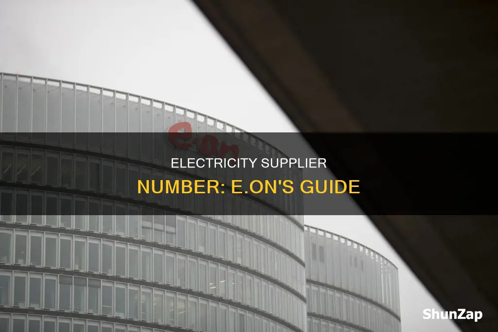 what is electricity supplier number for eon