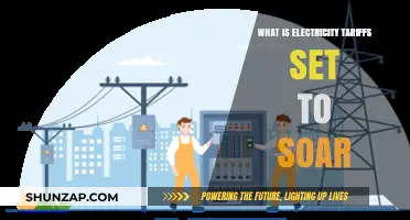 Electricity Tariffs Skyrocket: What's Behind the Surge?
