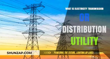 Understanding Electricity Transmission and Distribution Utilities
