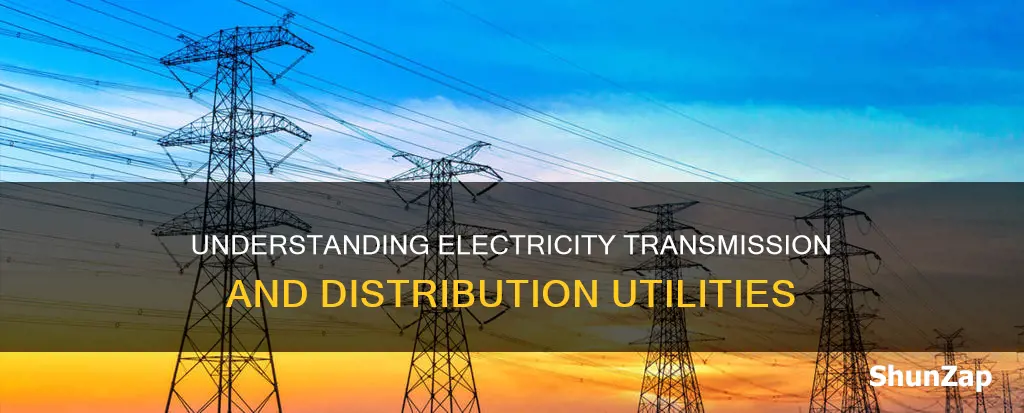 what is electricity transmission or distribution utility