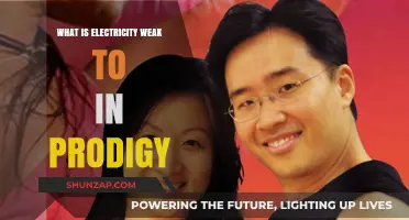 Electricity's Achilles Heel in Prodigy: Strategies to Overcome
