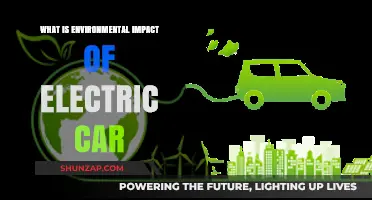 Electric Cars: Unveiling Their Environmental Impact and Sustainability