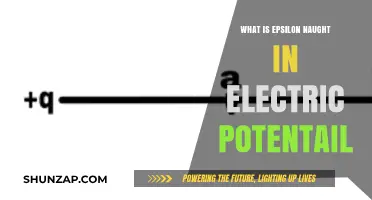 Understanding Epsilon Naught in Electric Potential Fields