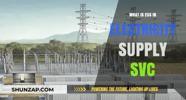 Understanding ESS: Reliable Electricity Supply