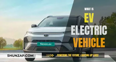 Electric Vehicles: Understanding the Basics of EV Technology