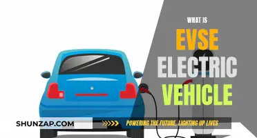 Unveiling the Power of EVSE: Electric Vehicle Revolution