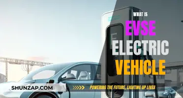 The Future of EV Charging: EVSE Electric Vehicle Technology