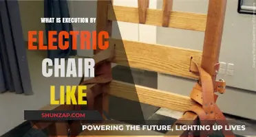 The Electric Chair: Execution's Shocking Truth