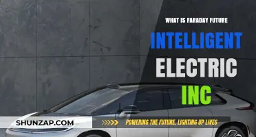Faraday Future: Electric Cars, AI, and Innovation