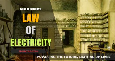 Understanding Faraday's Law of Electromagnetic Induction