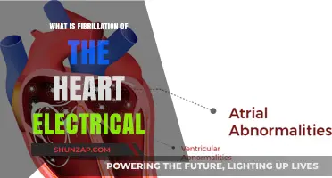 Electrical Fibrillation: Heart's Chaotic Electrical Activity Explained