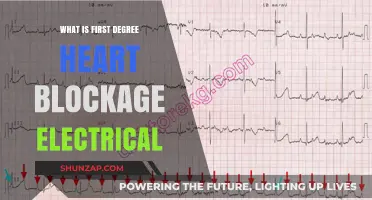 Heart's Electrical Blockage: First-Degree AV Block Explained