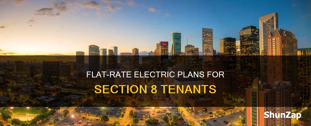 what is flat rate electric section 8