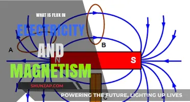 Understanding Magnetic Flux: Electricity and Magnetism Fundamentals
