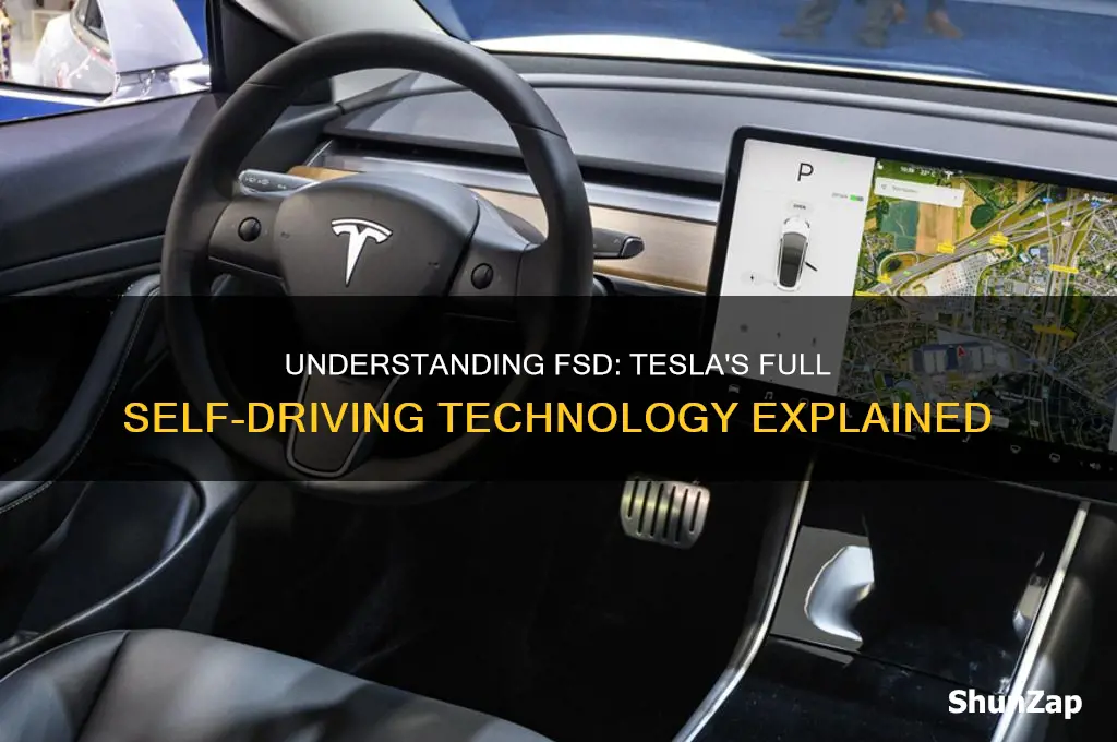 what is fsd in electric cars tesla