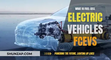 Fuel-Cell Electric Vehicles: The Future of Green Transport