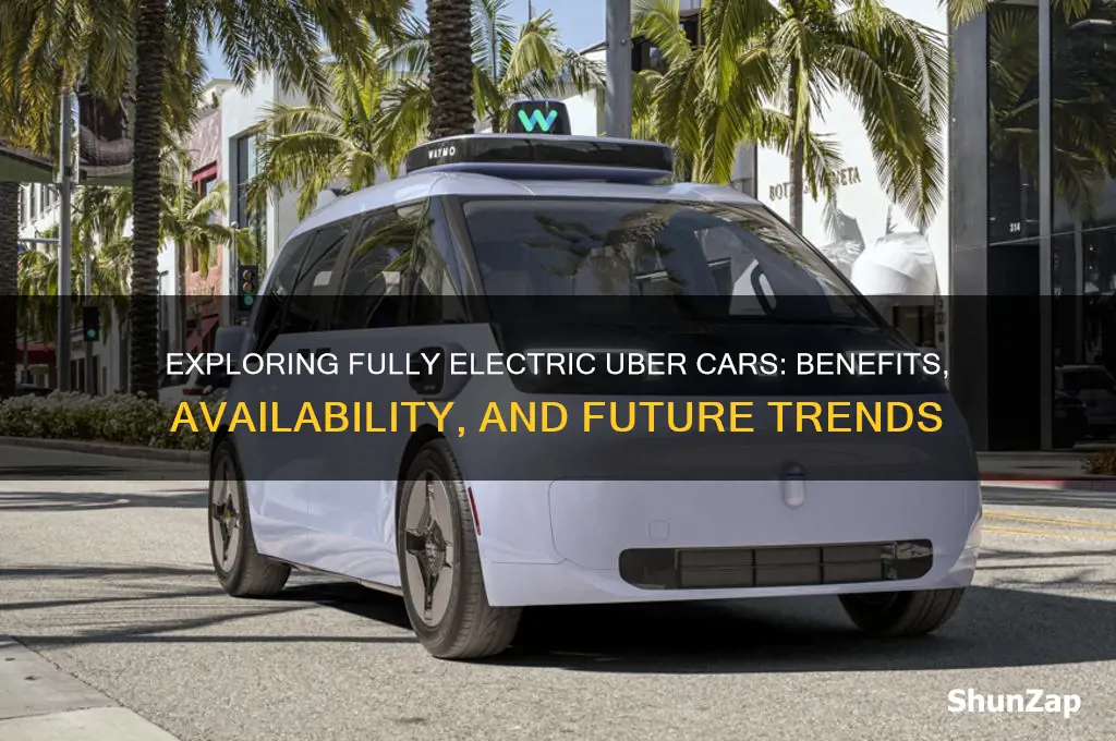 what is fully electric car uber