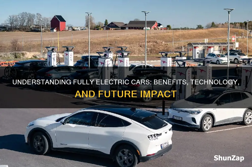 what is fully electric car