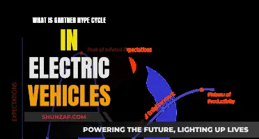 Gartner Hype Cycle: Electric Vehicle Edition