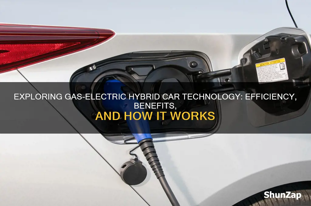 what is gas electric car technology