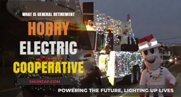 Retirement Plans: Horry Electric Cooperative's Benefits