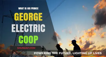 Prince George Electric Coop: GIS Technology for Power Grid Management
