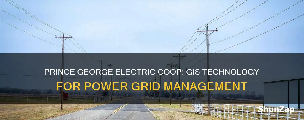 what is gis prince george electric coop