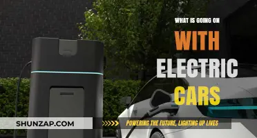 Electric Cars: Unraveling the Buzz, Trends, and Future Innovations