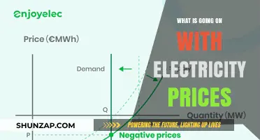 Electricity Prices: Why the Sudden Spike?