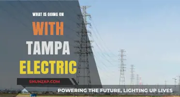 Tampa Electric: What's the Deal?