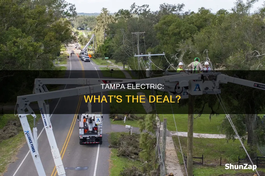 what is going on with tampa electric