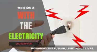 Electricity: What's Happening and What's Next?