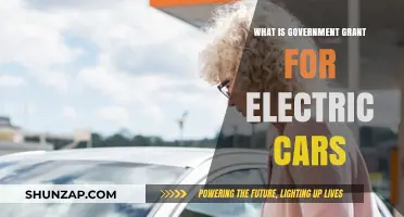 Unlocking Government Grants for Electric Cars: A Comprehensive Guide