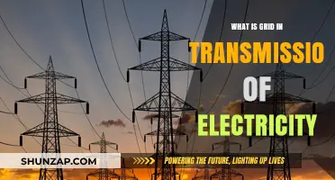 Understanding the Electricity Transmission Grid